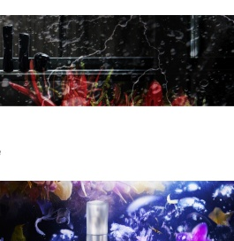 POLA官方 抗老护理与美白化妆品