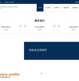 电商代营指导-天猫运营指导-抖音运营指导-品牌设计-全域电商指导公司