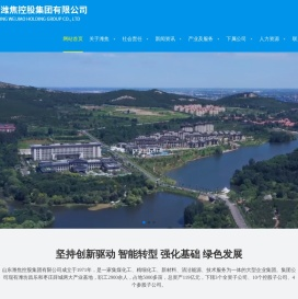 山东潍焦控股集团有限公司