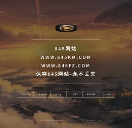 845网站