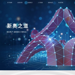 新奥集团股份有限公司