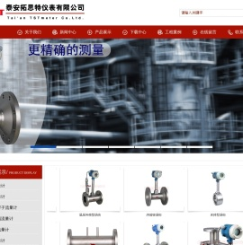 泰安拓思特仪表有限公司