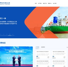新兴集团网站