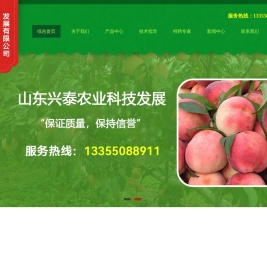 -山东兴泰农业科技发展有限公司