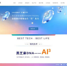 黑芝麻智能|黑芝麻高级辅助驾驶ADAS-计算机视觉-黑芝麻芯片解决方案