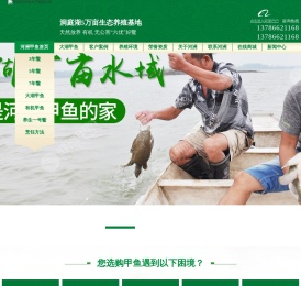 甲鱼_甲鱼苗_批发_仿野生甲鱼_养殖_销售_常德市鼎城区河洲龟鳖专业合作社【河洲甲鱼】