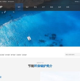 热水锅炉,蒸汽锅炉,燃气锅炉-环保锅炉厂家