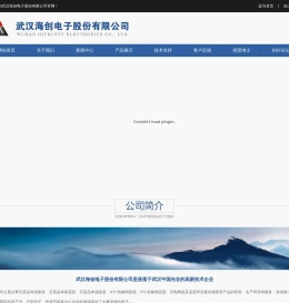 武汉海创电子股份有限公司