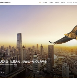 湖南网星电子商务发展有限公司-湖南网星电子商务发展有限公司
