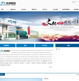 龙洲集团