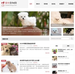 茶杯犬,茶杯猫,小香猪,迷你袖珍泰迪贵宾狗 - 茶杯宠物网