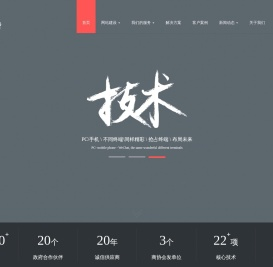 布吉网站建设,布吉网页设计,布吉网站制作,布吉网络公司,布吉网站设计,布吉网络推广-龙网网络