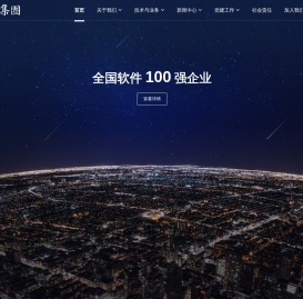 中至集团官网-软件百强企业-中至集团有限公司官网-中至科技