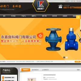 电磁阀,疏水阀,止回阀,球阀,安全阀,防盗加密阀,减压阀,针型阀,调节阀,蝶阀,排气阀-良科阀门