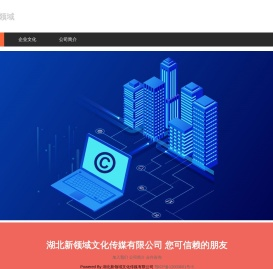 湖北新领域文化传媒有限公司