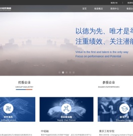 首页-正大软件集团