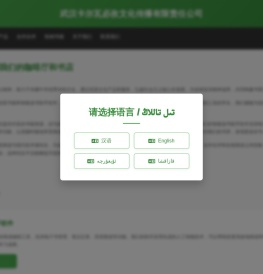 武汉卡尔瓦必孜文化传播有限责任公司