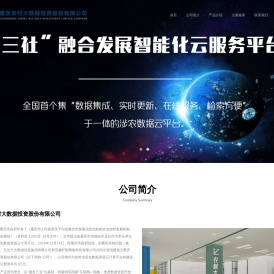 重庆农村大数据投资股份有限公司