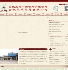 安徽孟氏中药饮片有限公司,中药饮片