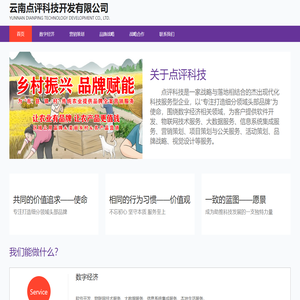 云南点评科技开发有限公司