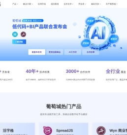 葡萄城官网 - 为开发者提供专业的开发工具、解决方案和服务，赋能开发者