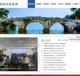 安徽横望控股集团有限公司