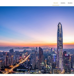 深圳恩瑞资本管理有限公司-深圳恩瑞资本管理有限公司