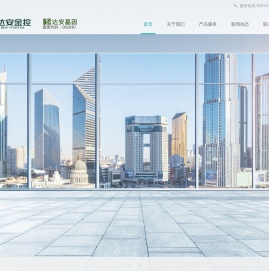 达安金控控股集团有限公司