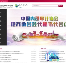 中国内部审计协会