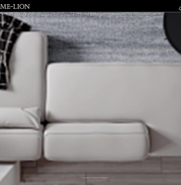 今狮智能装修-广东今狮智能装修工程有限公司