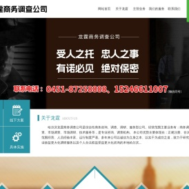 哈尔滨商务调查公司-就选龙霆侦探