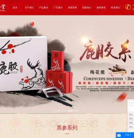黑参茶_黑人参_黑人参精华素-辽宁中书堂黑参有限公司