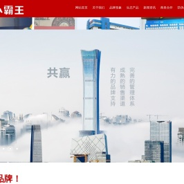 广东小霸王投资集团有限公司