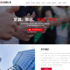 高压计量箱生产厂家-提供10KV组合互感器,真空断路器产品定制与批发-保定恒威电气开关有限公司