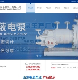 屏蔽泵-化工屏蔽泵-屏蔽电泵-山东鲁辰泵业有限公司