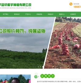 魔芋种植-魔芋种子-魔芋种植基地-(芋品轩魔芋)