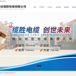 阳谷缆胜电缆有限公司