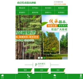 南县传承苗木种植专业合作社_益阳水杉|池衫|落羽杉|墨西哥落羽杉|苗木销售