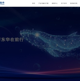 东华软件