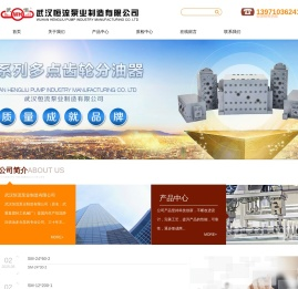 武汉恒流泵业制造有限公司