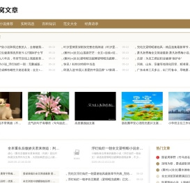 蜂窝文章网