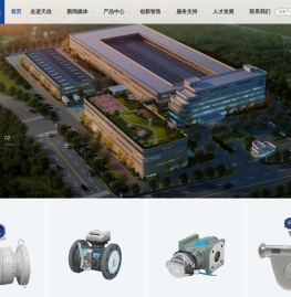 天信仪表集团有限公司