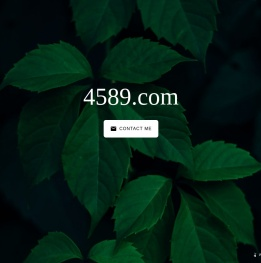 4589.com