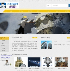 首页-武汉鸿宝科技发展有限公司_Hoentzsch流量计_Beck压力开关代理商