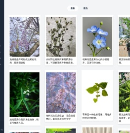 花卉图片网 - 你的养花小助手